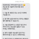 주주브로우