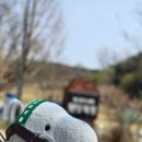 원흥목장 | 한국마사회 원당목장,스시맹가 원흥점,카페 오텀, 뮤지컬 뱀프헌터