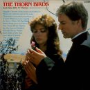 The Thorn Birds ＜가시나무 새＞의 전설 이미지