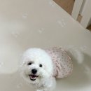 룰루멍