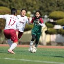 개in공방 이미지