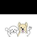 Pet nosh(펫노쉬) 네이버블로그