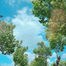 평창 나모펜션 이미지