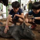 키즈시네마 7월 이미지