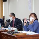 우후죽순(유) 이미지