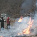 남부농산물 이미지