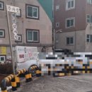 백년지기맛집 | 안양 백년지기삼계탕 평촌점 전현무계획3 맛집 방문 후기