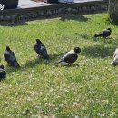 끼리끼리노래연습장 이미지