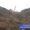 김삿갓면-10 이미지