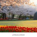 연지공원(조각공원) 이미지