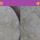 신광세탁소 이미지