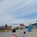 울진 국립해양과학관 티스토리