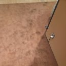 세탁백화점 | 미아 롯데백화점 카페트 세탁 후기｜기름 발자국 제거까지 꼼꼼하게 진행한 야간 작업
