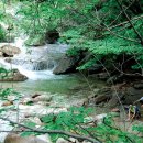 불당골1 이미지