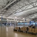 2217 | 베트남 다낭 비행기표 제주항공 7C2217편 후기