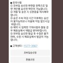 퀸모바일 네이버블로그