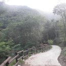 민주지산 자연휴양림