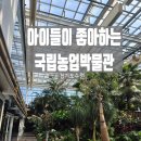 국립대구박물관 북문 야외 | 국립농업박물관 주말 아이들과 가볼 만한 가족 나들이 후기