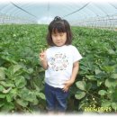 진서농장 이미지