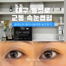 글래드희 | 대구속눈썹 글래드희 클리닉블랙펌 솔직 후기 교동속눈썹펌 잘하는곳 추천