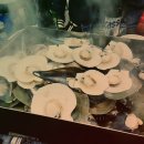 팔룡동251 이미지