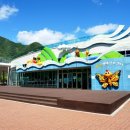 동강수산장어 이미지