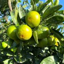 생규농장 이미지