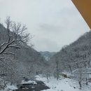 명동산장펜션