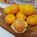 양지청과 이미지