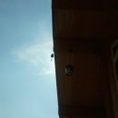 욱일농원 이미지