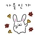 뽀삐애견 이미지