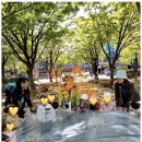 아이푸른 이미지