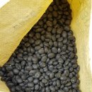 부형농장 이미지