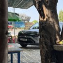 동인 농장 | [나트랑] 판랑 사막투어 호아드라이버 리얼솔직후기 🌵 가성비 끝판왕 &amp; 인생샷 200장