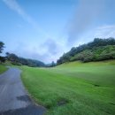 테라스골프존 | 여름철 시원한 새벽 라운딩, 골프존카운티 진천 솔직 리뷰