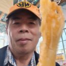 전북특별자치도 산림박물관 이미지