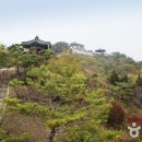 청풍