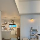 스테이 댕댕 이미지