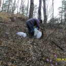 대자연농원 이미지