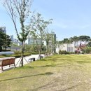 새빛 태양광발전소 이미지