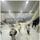 늘푸른 태권도장 이미지