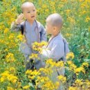 아비지 - 서구 원당대로 628 | 아비지