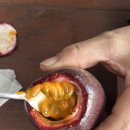 은혜농장 이미지