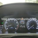 보성카밧데리 이미지