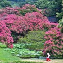 담양시장(주차장) 이미지