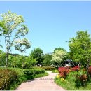 주암호 생태습지 이미지