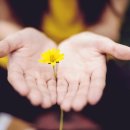 경부한의원 이미지