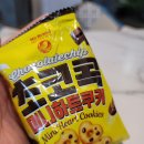 1982무인카페