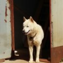 시골나들이 이미지