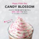 위캔디 이미지